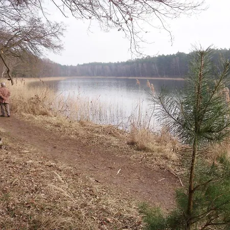Spacious In Sommerfeld Near *