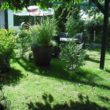 Spacious In Sommerfeld Near *