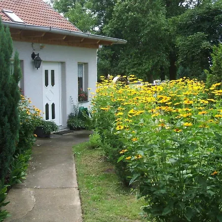 Spacious In Sommerfeld Near